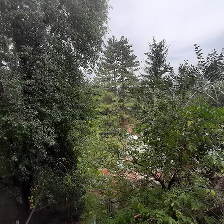 Sila Ferienhaus Camigliatello Silano